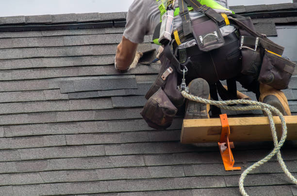 Best Commercial Roofing Services  in Kalispell, MT